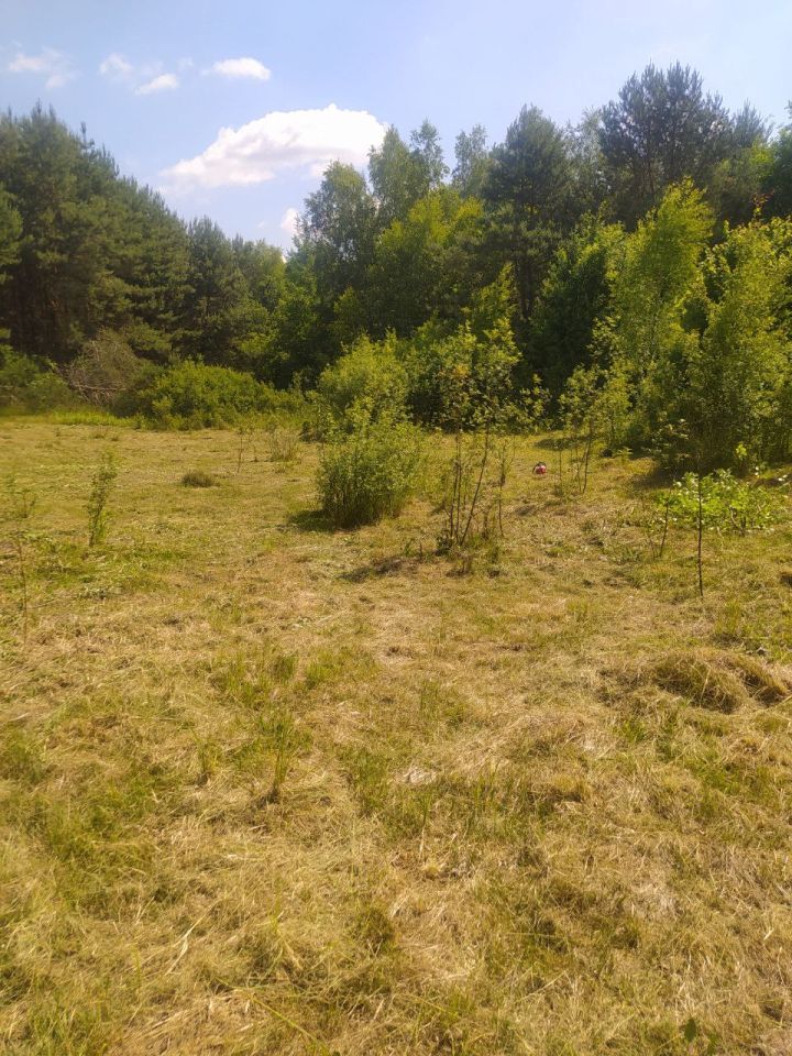 Działka budowlana Janopol. Zdjęcie 9