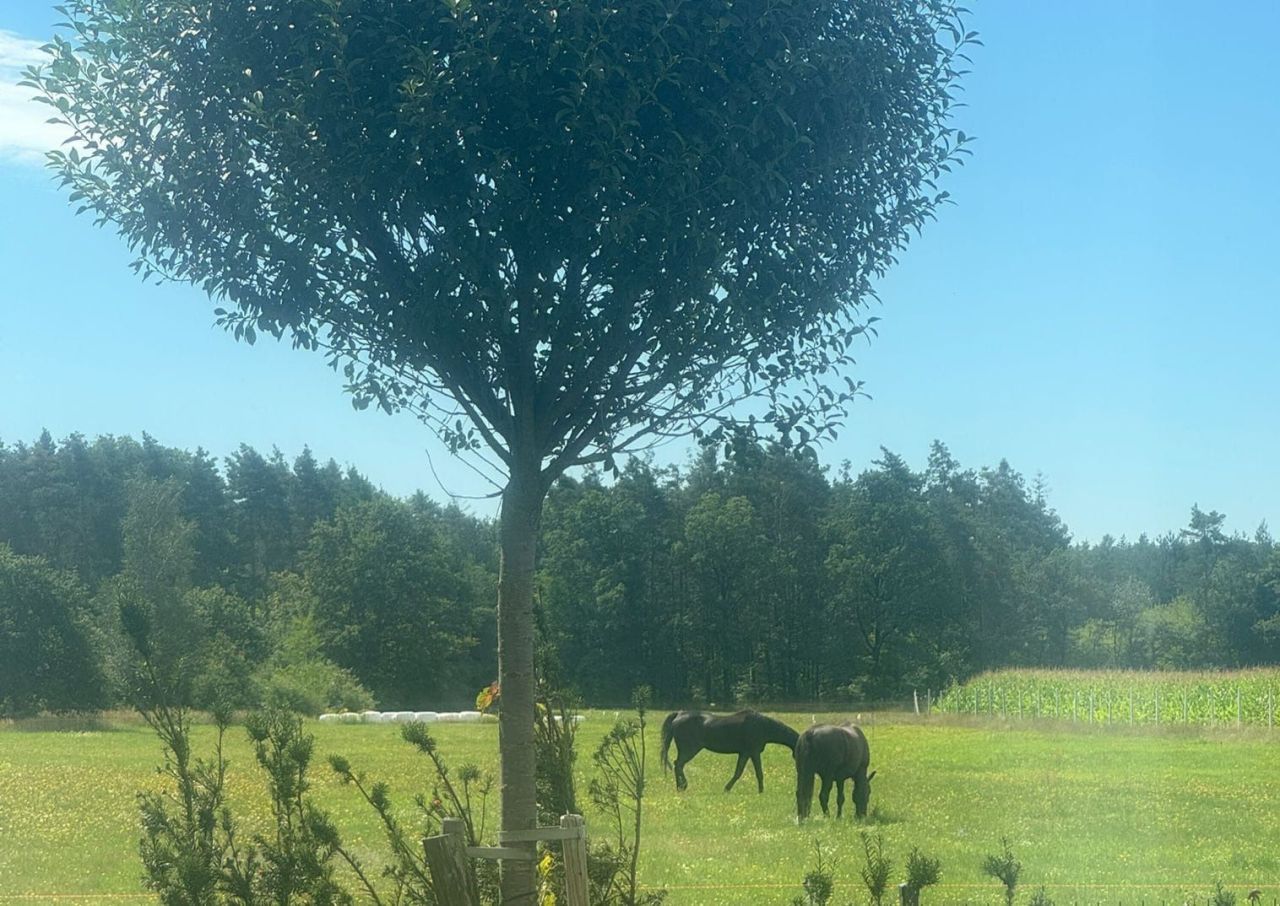 Działka budowlana Kotórz Mały, ul. Zielona. Zdjęcie 3