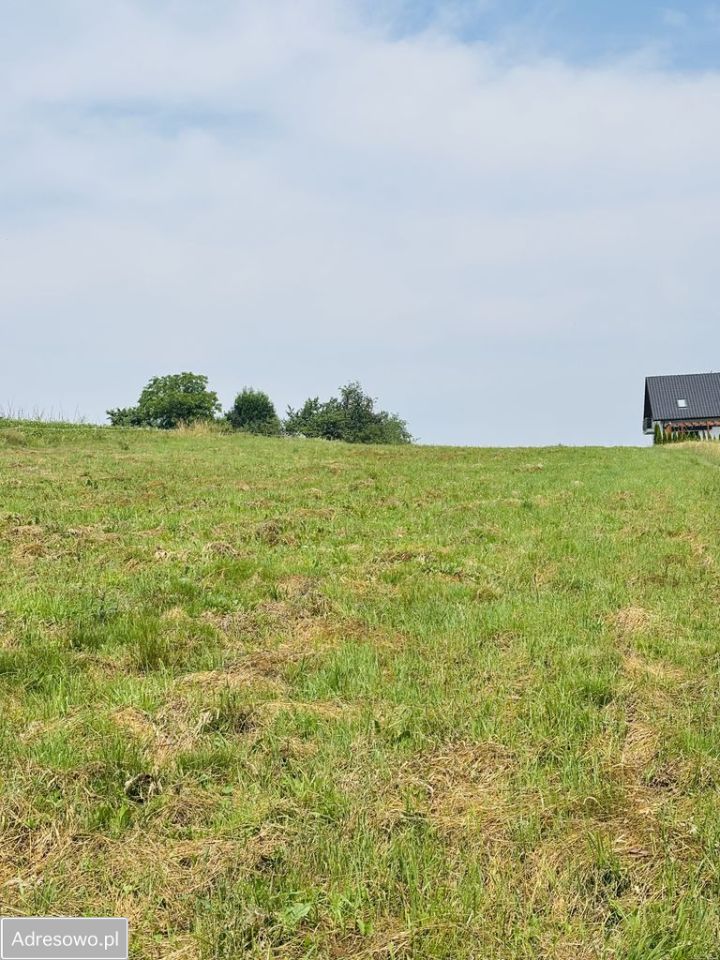 Działka siedliskowa Lipnica Dolna. Zdjęcie 5