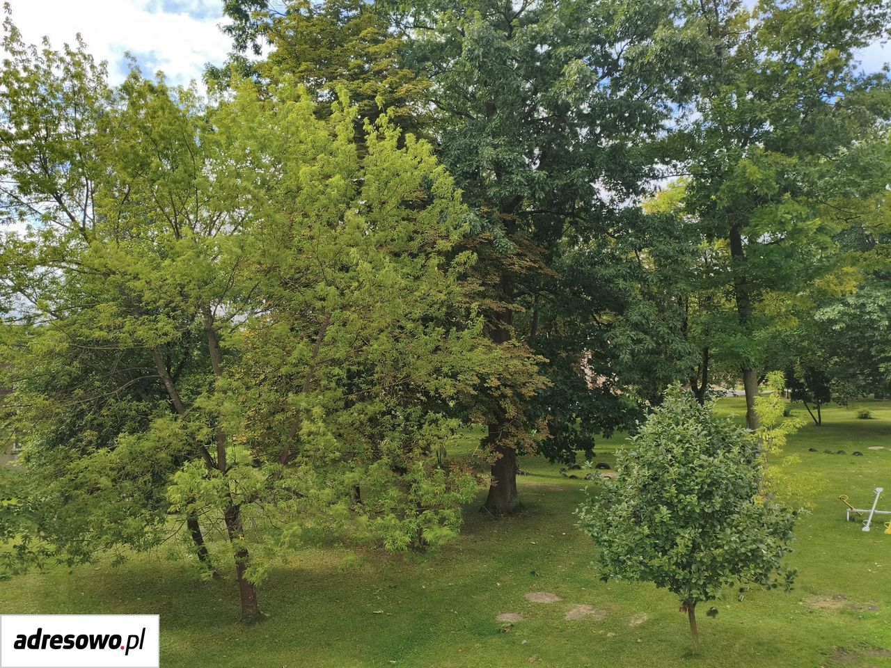 Mieszkanie 2-pokojowe Ksawerów. Zdjęcie 9