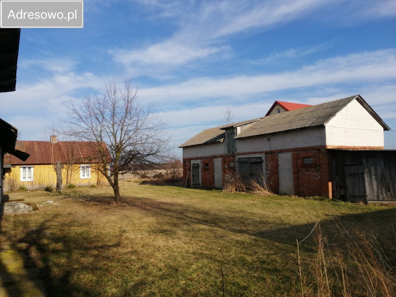 Działka siedliskowa Paprotnia. Zdjęcie 1