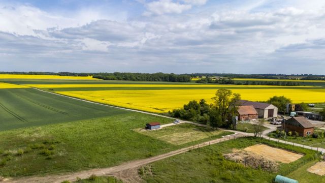 Działka budowlana Poniatowice. Zdjęcie 13