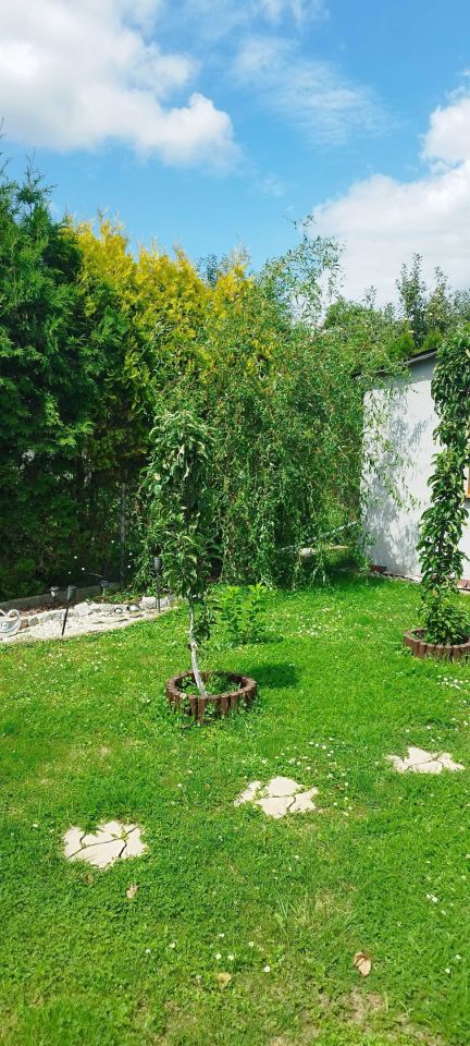 Działka rod Rydułtowy. Zdjęcie 4