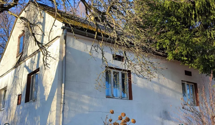 Działka siedliskowa Drohobyczka