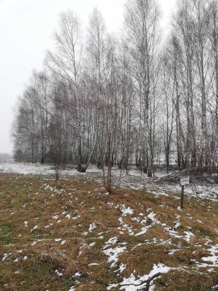 Działka budowlana Okrzeja. Zdjęcie 3