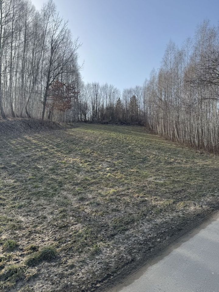 Działka rolna Płouszowice. Zdjęcie 6