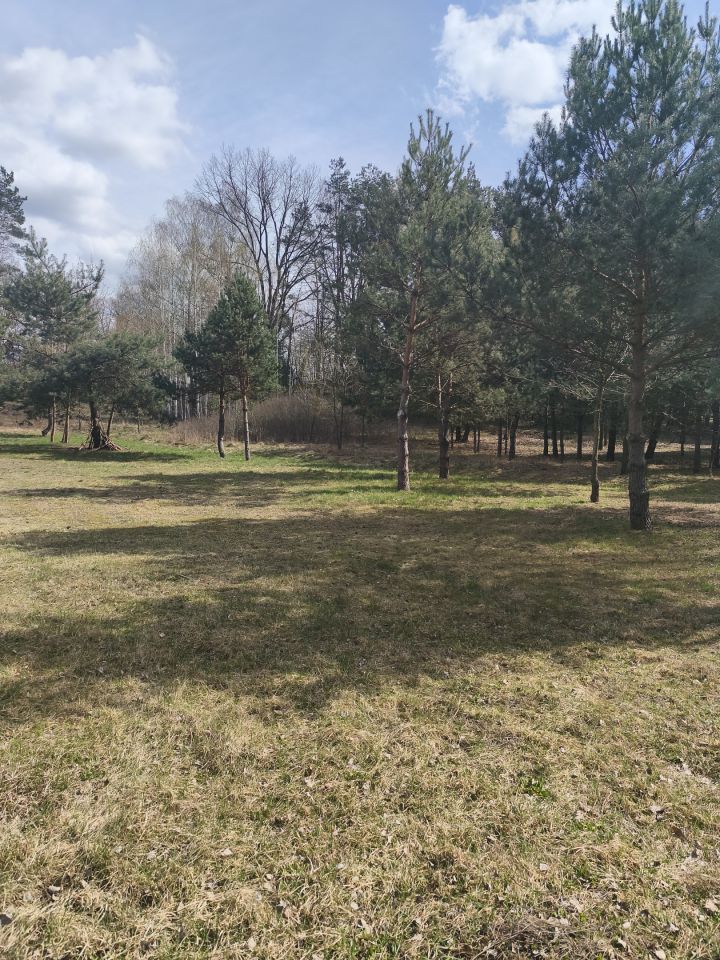 Działka budowlana Huta Podgórna, ul. Wzgórze. Zdjęcie 12