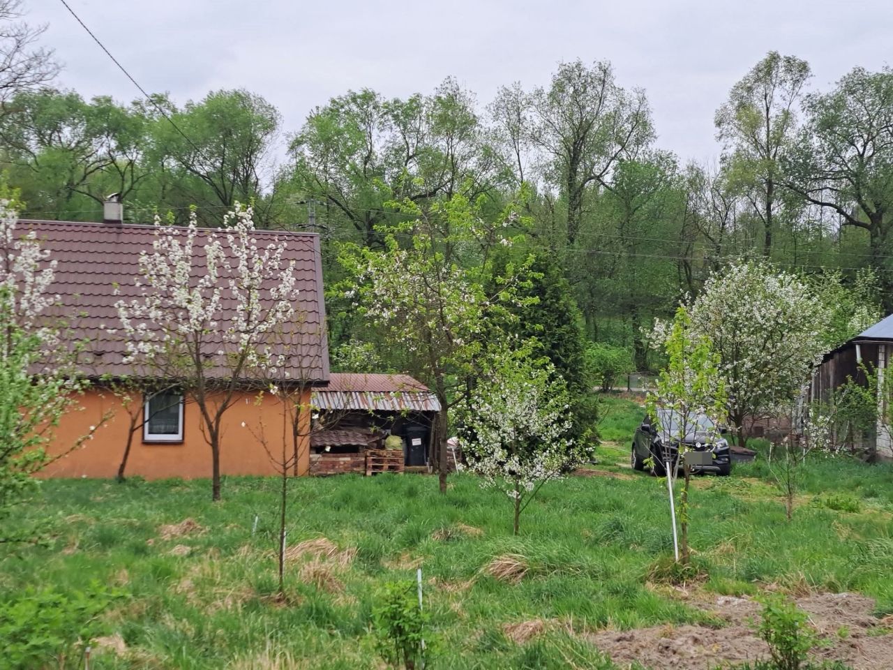 dom wolnostojący, 4 pokoje Rozbórz Długi. Zdjęcie 18