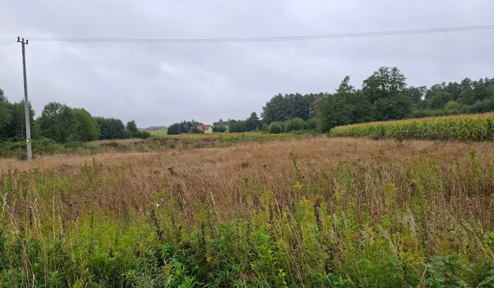 Działka rolna Łazęki