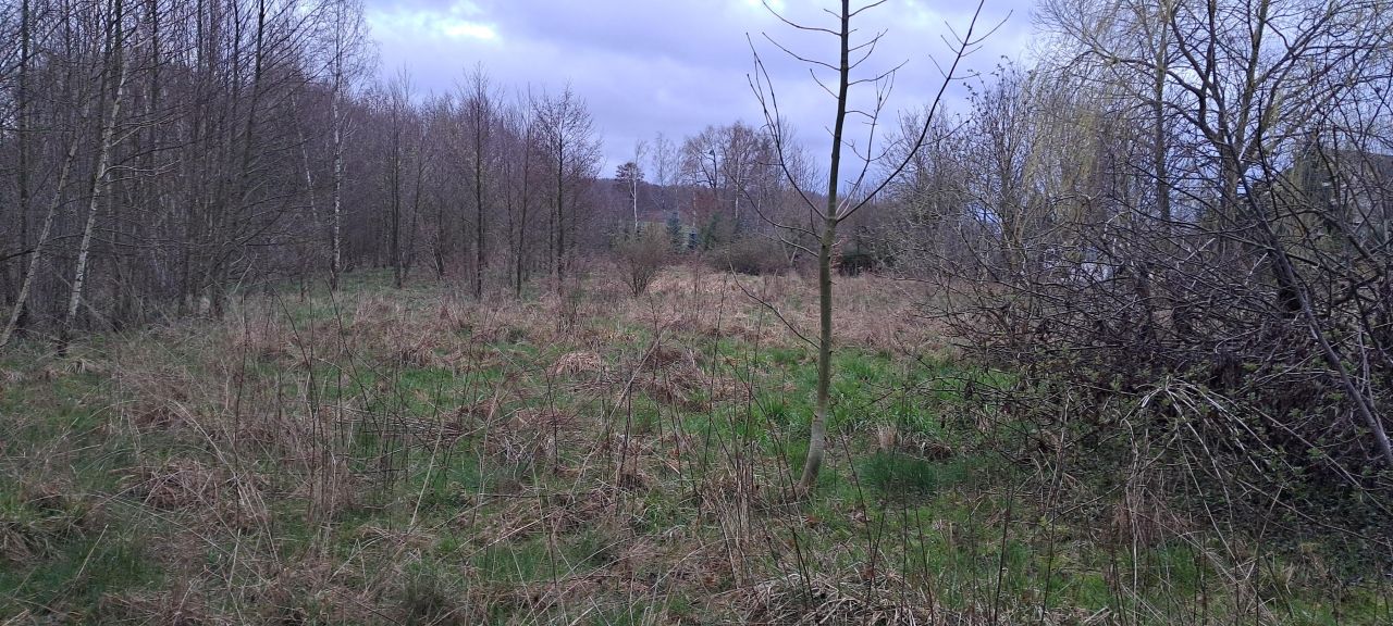 Działka rolno-budowlana Gałkówek-Kolonia. Zdjęcie 7