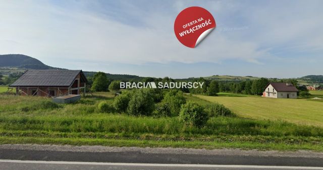 Działka inwestycyjna Ptaszkowa. Zdjęcie 1