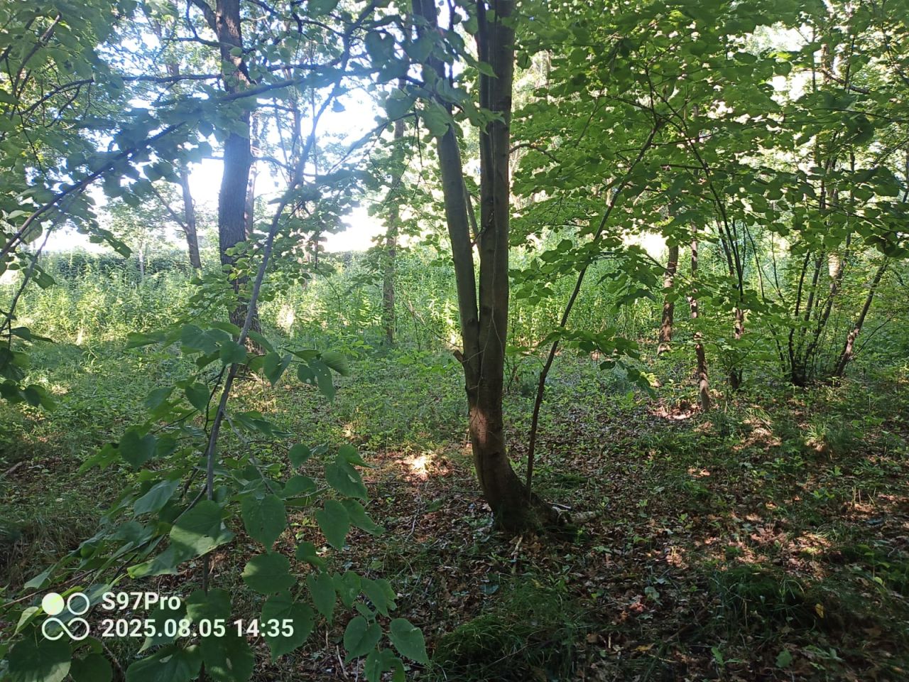 Działka rolno-budowlana Wola Rzędzińska. Zdjęcie 6