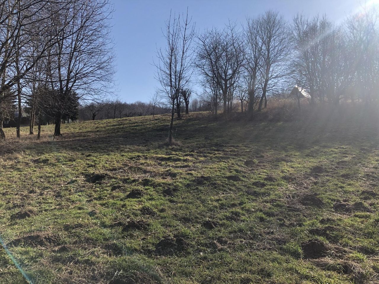 Działka budowlana Grabno Dół. Zdjęcie 2