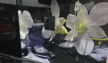 Mieszkanie 2-pokojowe Będzin Ksawera