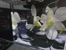 Mieszkanie 2-pokojowe Będzin Ksawera. Zdjęcie 1