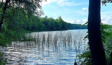 Działka rolna Smorawina