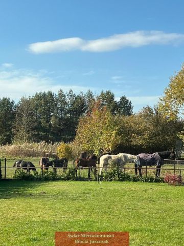 dom wolnostojący, 4 pokoje Pruszowice. Zdjęcie 1