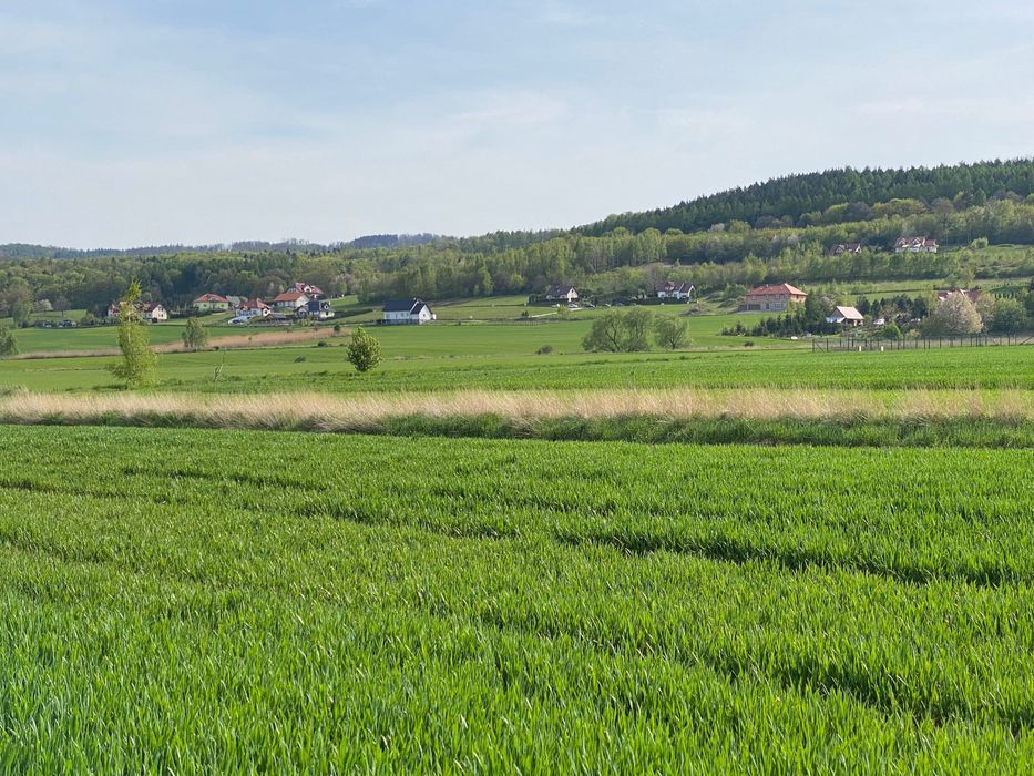 Działka budowlana Lutomia Górna