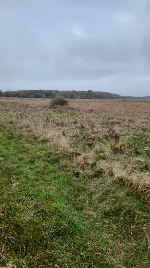 Działka rekreacyjna Barzowice. Zdjęcie 4