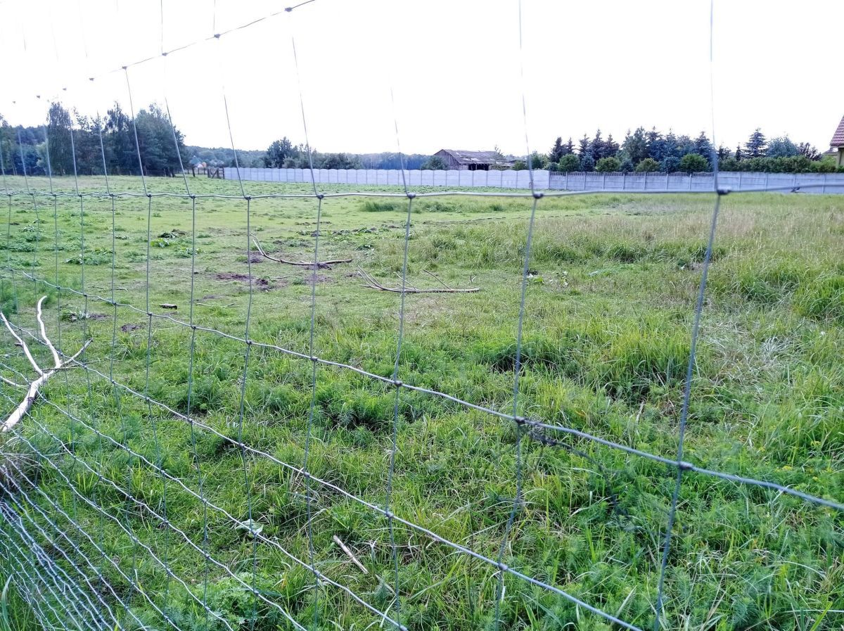 Działka budowlana Bolesławiec. Zdjęcie 2