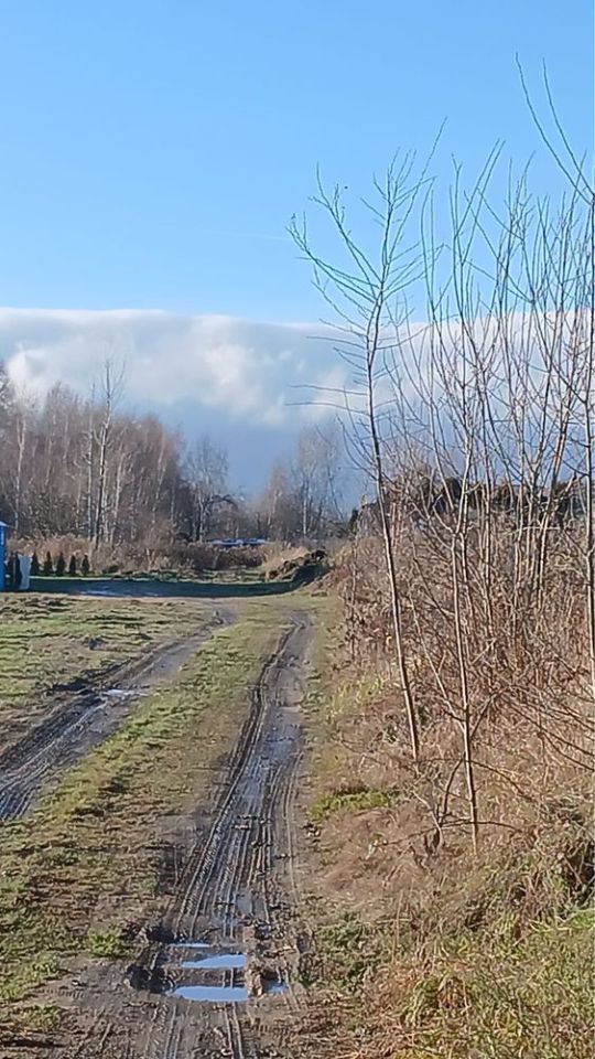 Działka budowlana Pieńsk, ul. Stefana Batorego. Zdjęcie 1