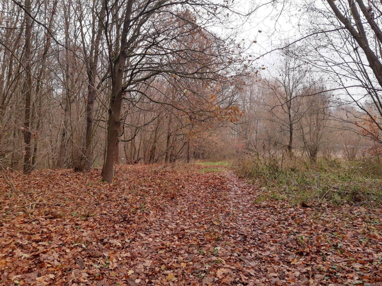 Działka budowlana Gronów. Zdjęcie 21