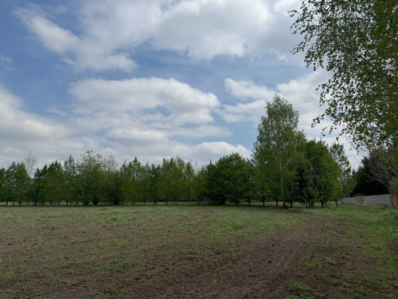 Działka budowlana Górsk. Zdjęcie 2