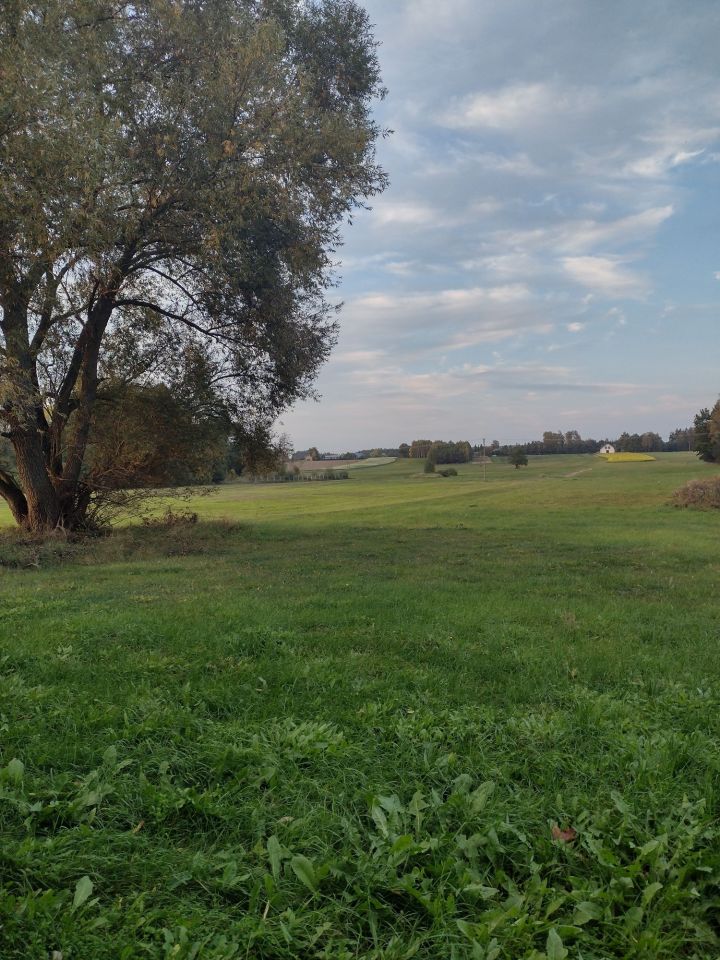 Działka siedliskowa Nowy Zglechów. Zdjęcie 6