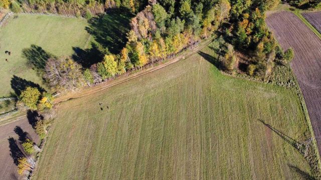 Działka budowlana Grabowiec. Zdjęcie 1
