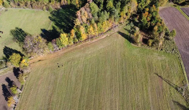 Działka budowlana Grabowiec