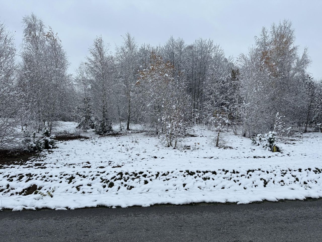 Działka rolna Gadka, ul. Mały Gościniec. Zdjęcie 3