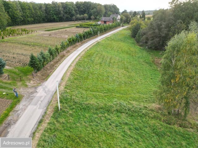 Działka rolno-budowlana Janowice. Zdjęcie 1