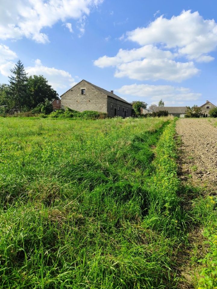 Działka rolno-budowlana Łubki. Zdjęcie 5