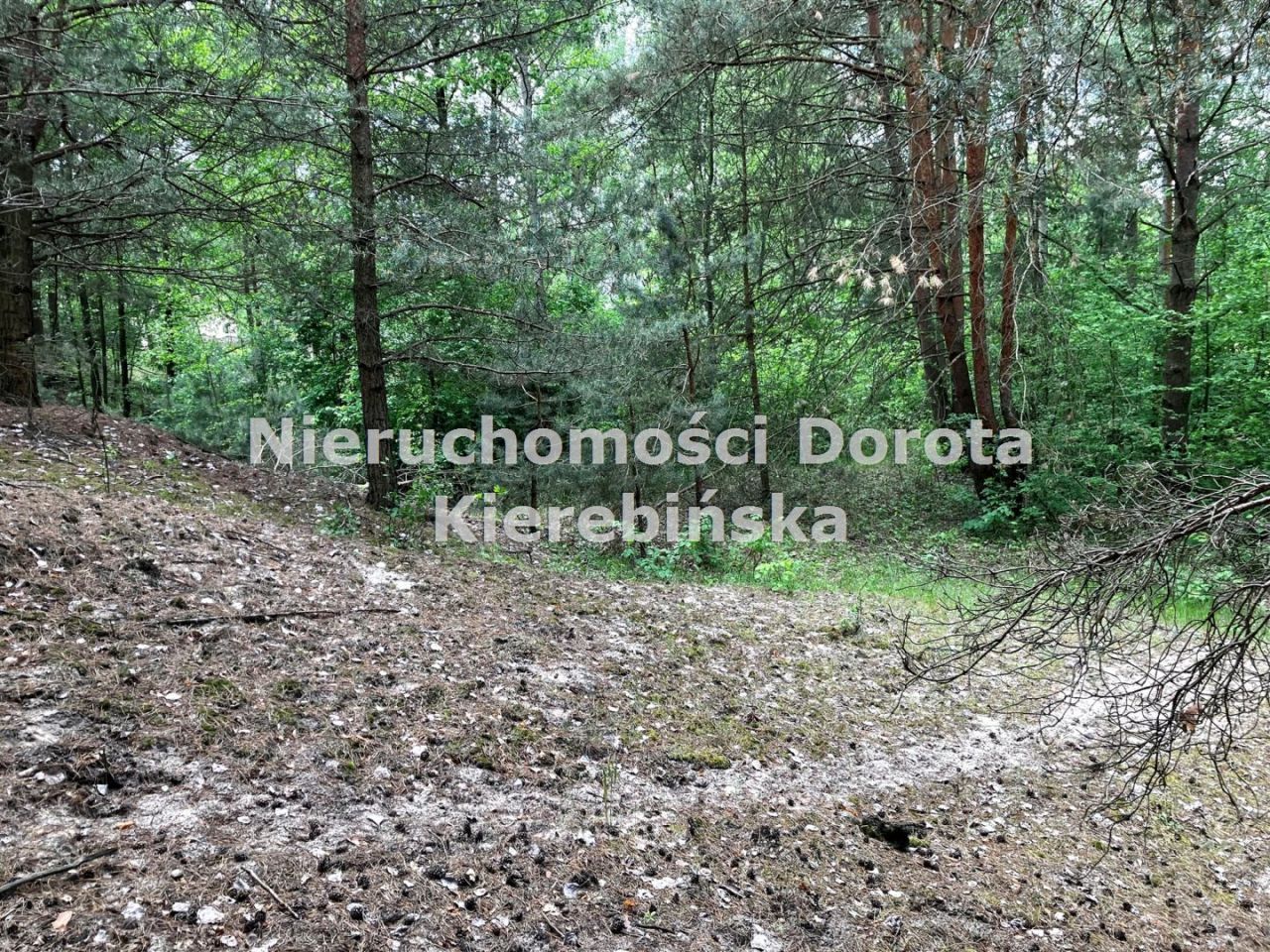 Działka budowlana Rzeczyca, ul. Niska. Zdjęcie 9