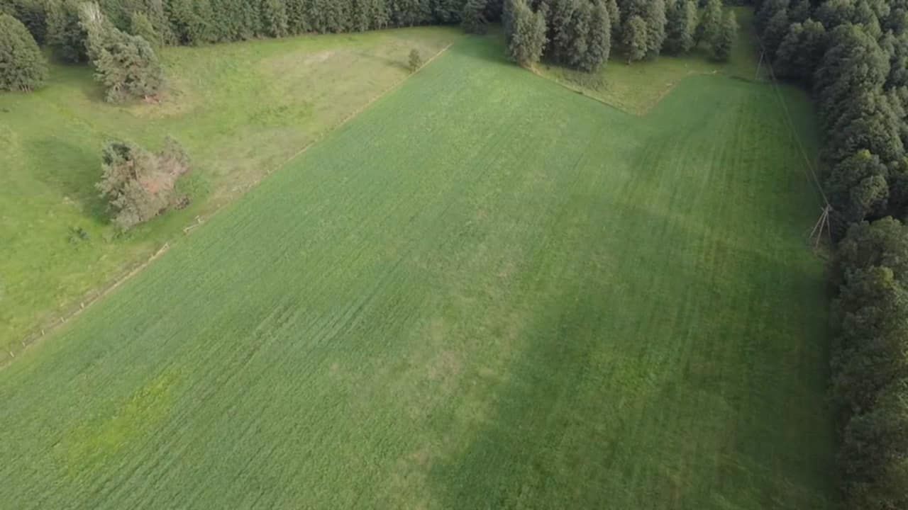 Działka rolna Szczytno. Zdjęcie 8