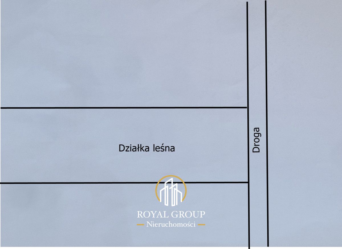 Działka leśna Jawidz Gajówka. Zdjęcie 8