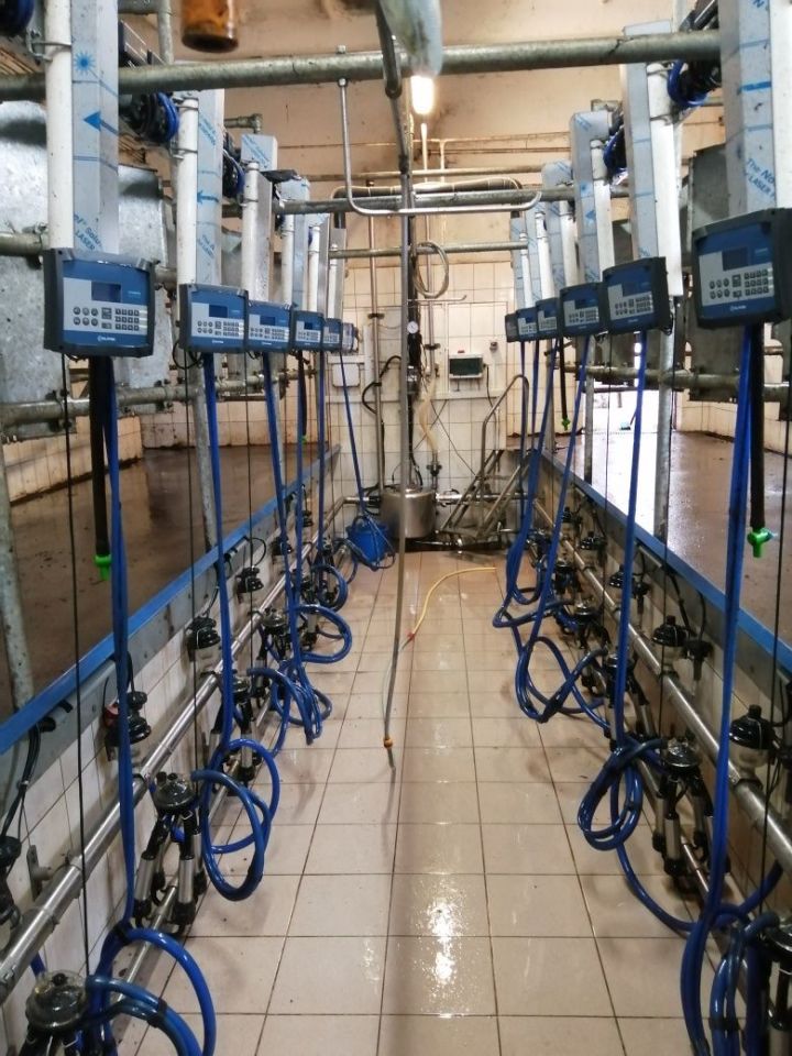 Działka rolna Lubin Bielica. Zdjęcie 8