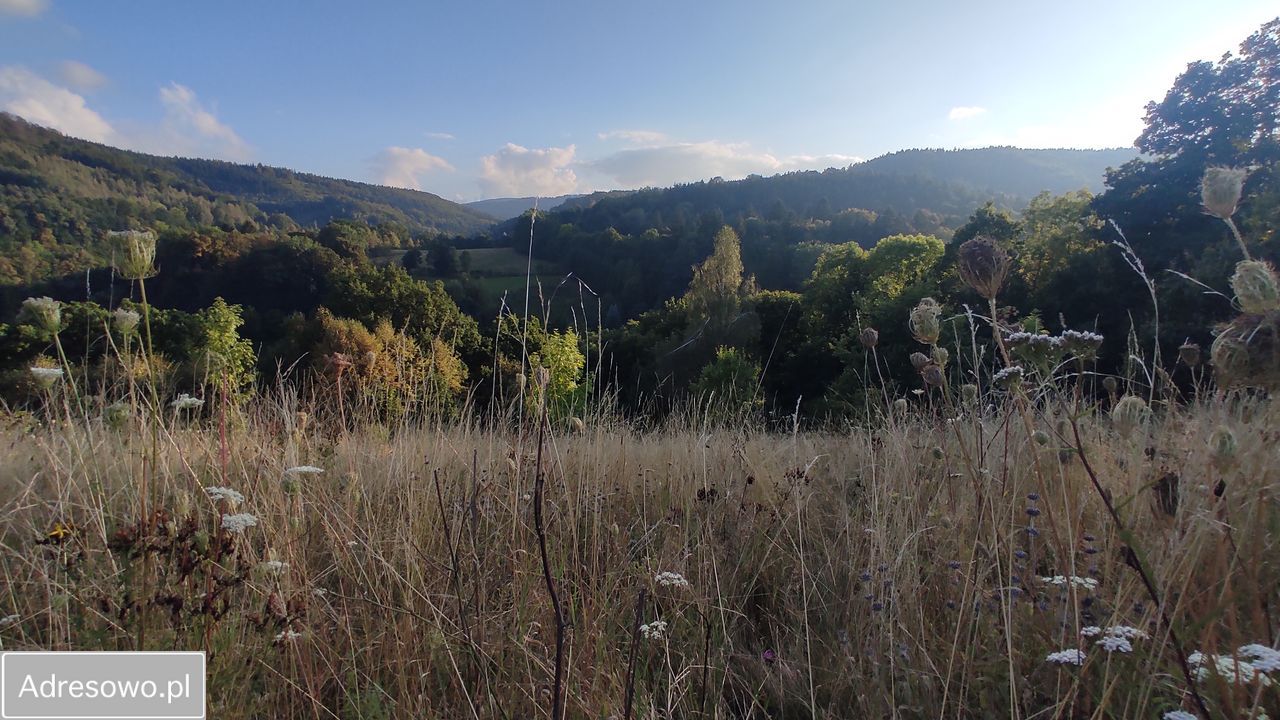 Działka inwestycyjna Rościszów, ul. Sowiogórska. Zdjęcie 8