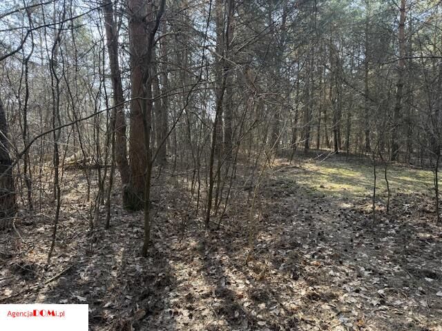 Działka budowlana Siestrzeń. Zdjęcie 7