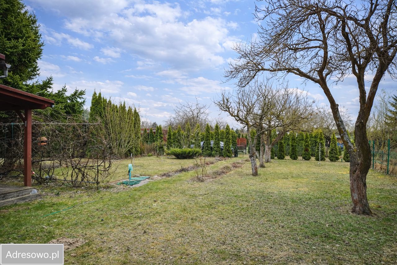 Działka rod Poznań Nowe Miasto, ul. Głuszyna. Zdjęcie 3