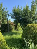 Działka rod Gdańsk Zaspa, ul. Małoogrodowa. Zdjęcie 3