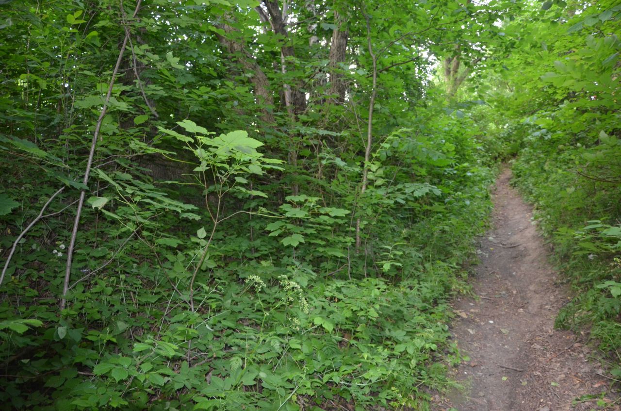 Działka rekreacyjna Bronkowice Górna Wieś. Zdjęcie 4