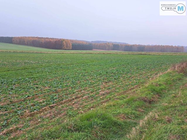 Działka Chęciny. Zdjęcie 4