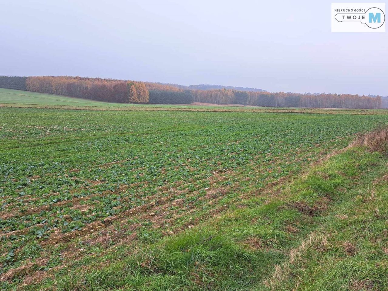 Działka Chęciny. Zdjęcie 4