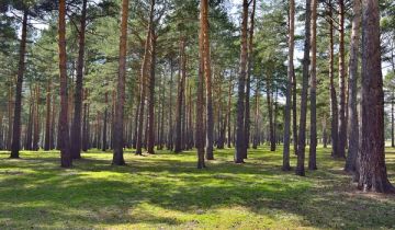 Działka budowlana Otwock Śródborów, ul. Otwocka