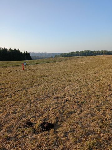Działka budowlana Kłanino. Zdjęcie 1