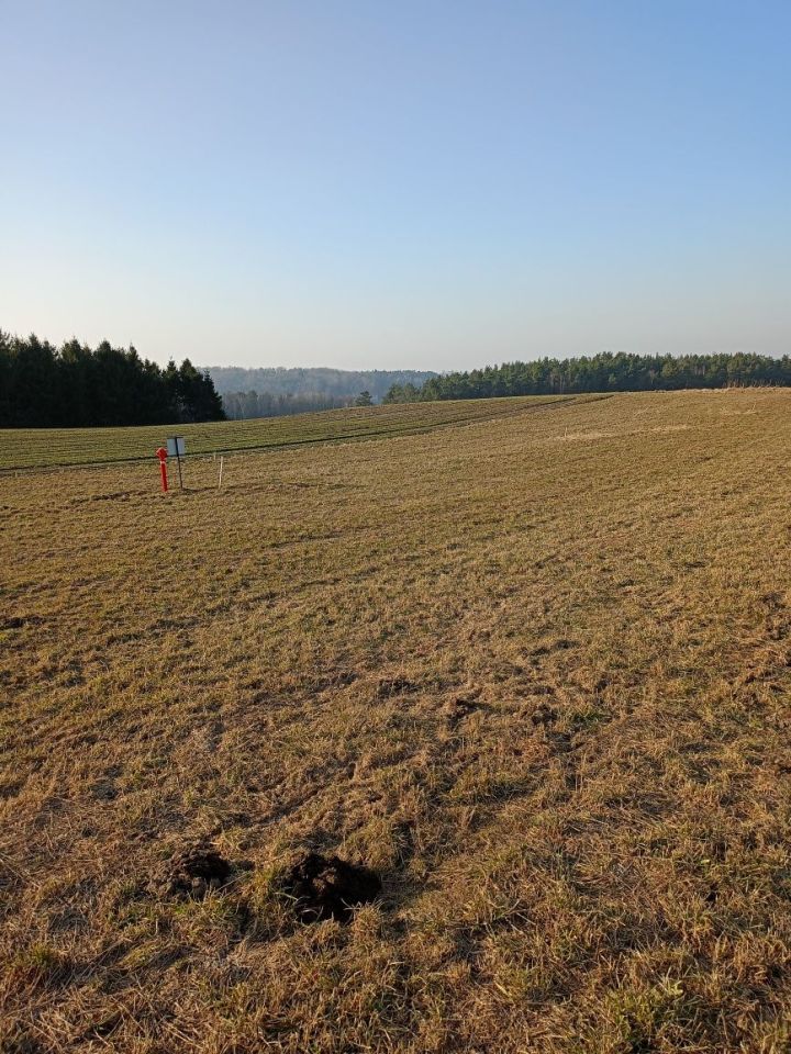 Działka budowlana Kłanino. Zdjęcie 1