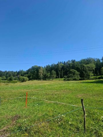 Działka budowlana Grybów Sośnie Dolne. Zdjęcie 1