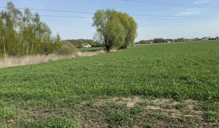 Działka rolna Siedlin