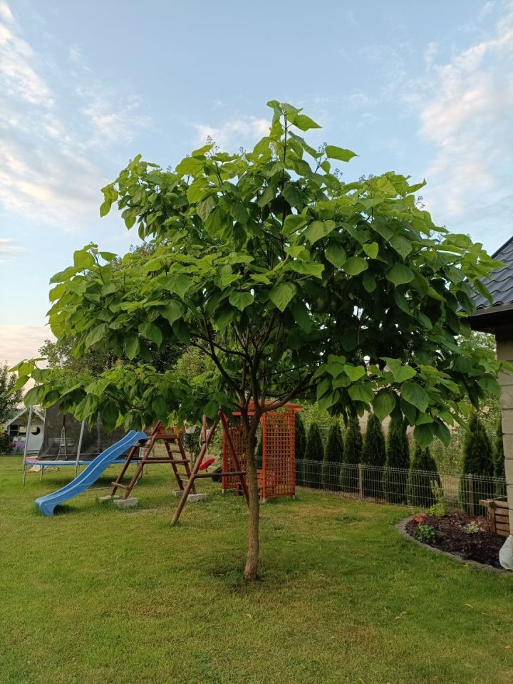 dom wolnostojący Czarnolas. Zdjęcie 4